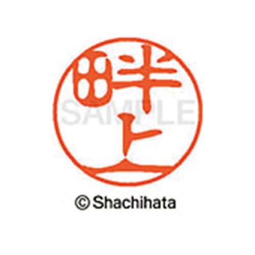 シヤチハタネーム ブラック11 畔上