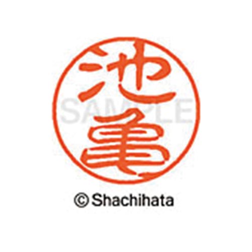 シヤチハタネーム ブラック11 池亀