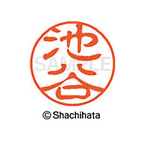 シヤチハタネーム ブラック11 池谷