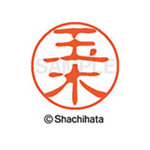 シヤチハタネーム ブラック11 玉木