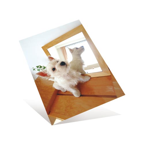 hiꂢȌ