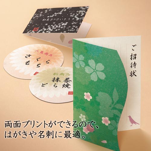 インクジェット用紙 和紙 特厚口 A4 10枚入