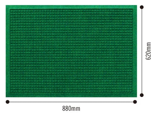 ウォーターホース 62×88 グリーン