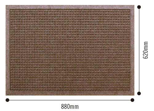 ウォーターホース 62×88 ブラウン