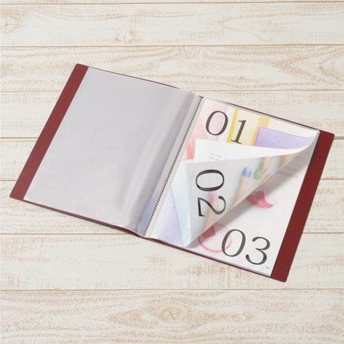 クリアーFスーパーエコノミーA4タテ 20P赤×5