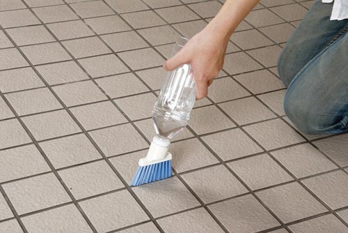 ペットでそうじスミズミブラッシング