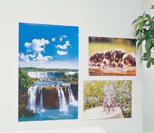 ナイスタックテサパワーストリップポスター用24枚入