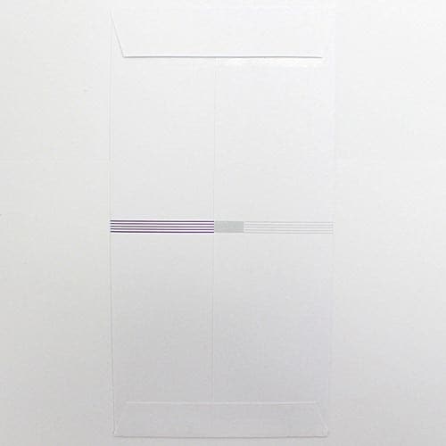 新万円袋 御布施