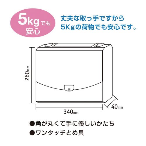 プレイング 2ウェイケース A4 ブラック