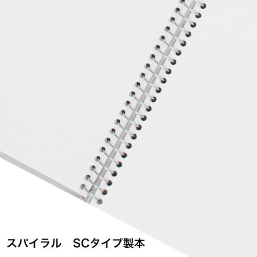 B4クロッキースタンダード白クロS220