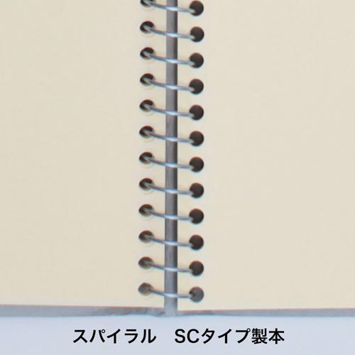 B4クロッキースタンダードクリーS221