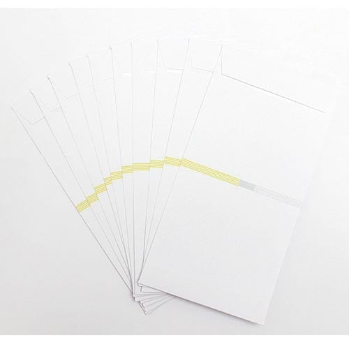 新万円袋 黄水引