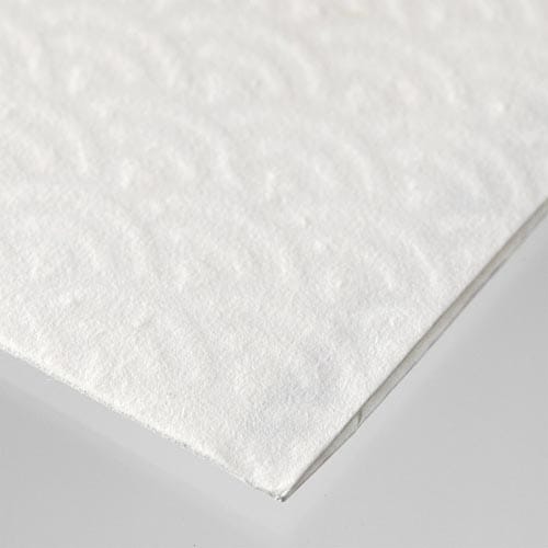 金封421 中金封 お祝