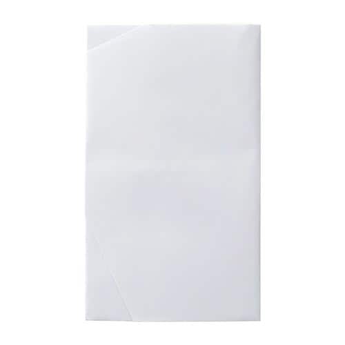 金封424 大金封 お祝