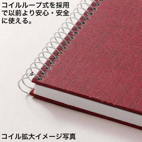 F3スケッチアーチストメダリオンS53A−01