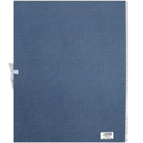 F6スケッチアーチストメダリオンS56A−02