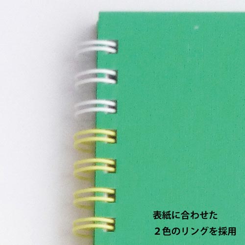 F3スケッチアートスパイラルS313−33