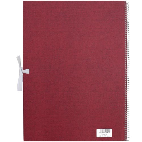 F4スケッチアーチストメダリオンS54A−01