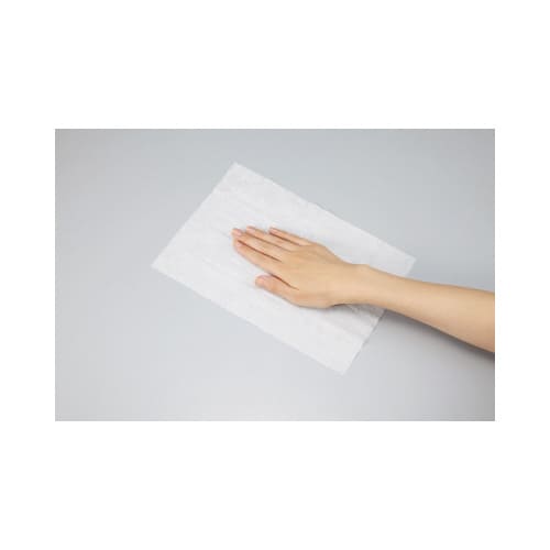 除菌ウェット ウィルス除去大判 30枚2P入×5