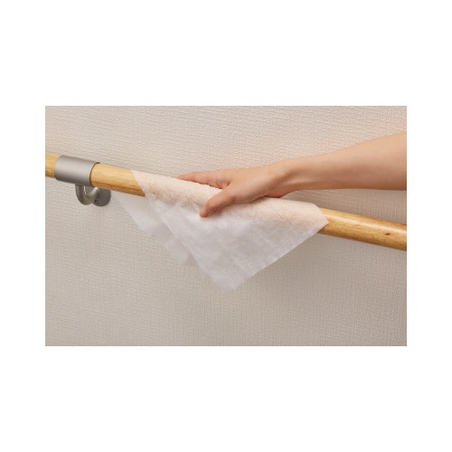 除菌ウェット ウィルス除去大判 30枚2P入×5