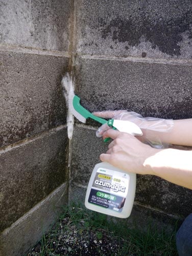 アズマジック コケ取り剤