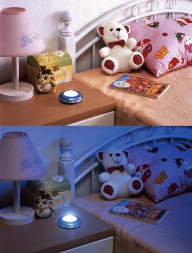 地震ポンライト