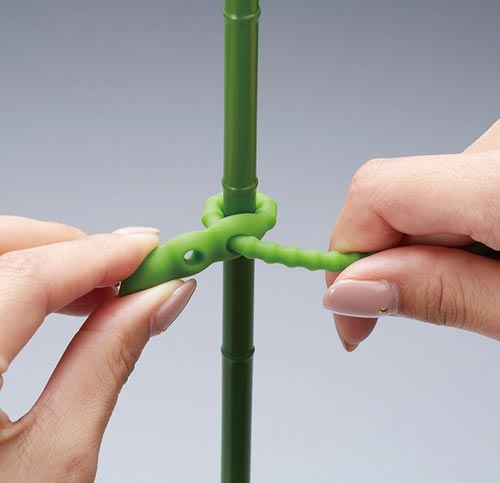 園芸用シリコンバンド 10本入り