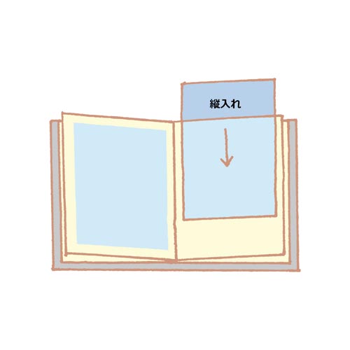 クリアーファイルエコノミー40PA4縦グリーン