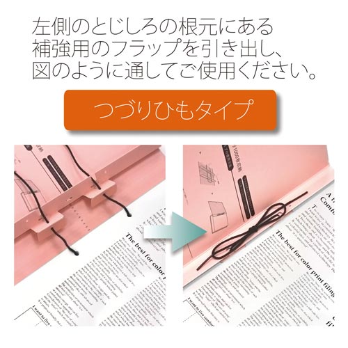 背幅SFセノバス つづり/替表A4縦ピンク×5