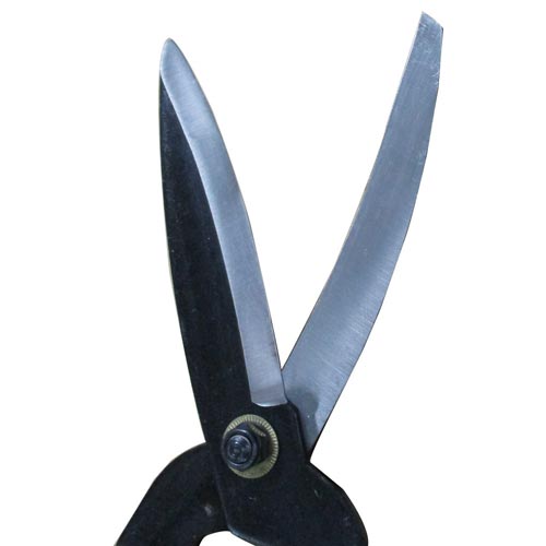 木柄 剪定型 刈込鋏 大 150mm