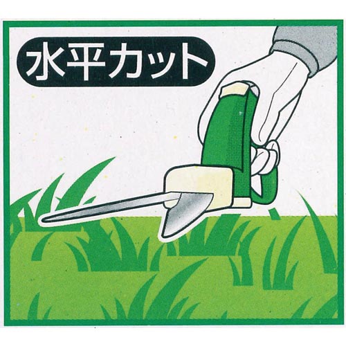 ]ЎŐ
