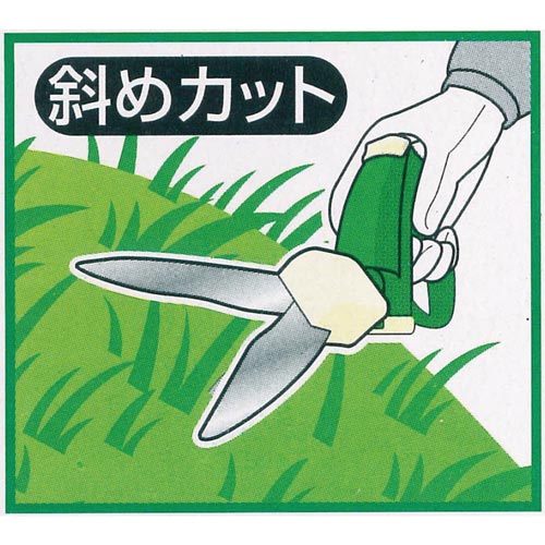 ]ЎŐ