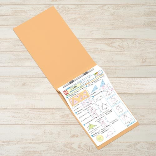 フラットファイルB4E縦罫線タイプ イエロー