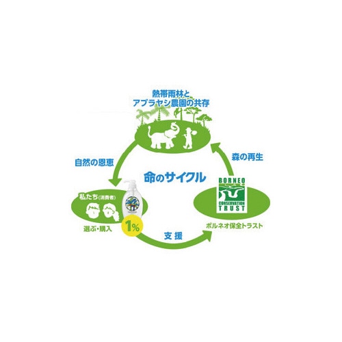 ヤシノミ洗剤 詰替用 1000ml