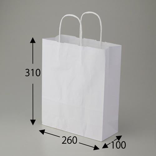 25チャームバッグ S 晒白無地 50枚