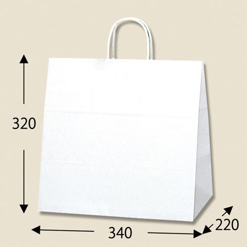 25チャームバッグ 34−1 白無地 50枚