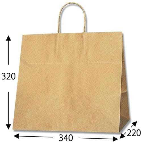 25チャームバッグ 34−1 未晒無地 50枚