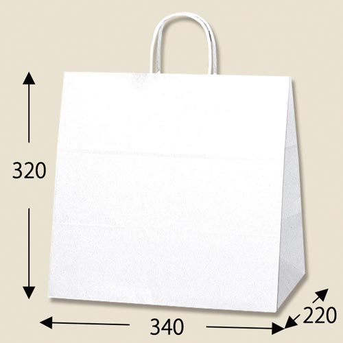 25チャームバッグ 34−1 晒白無地 50枚