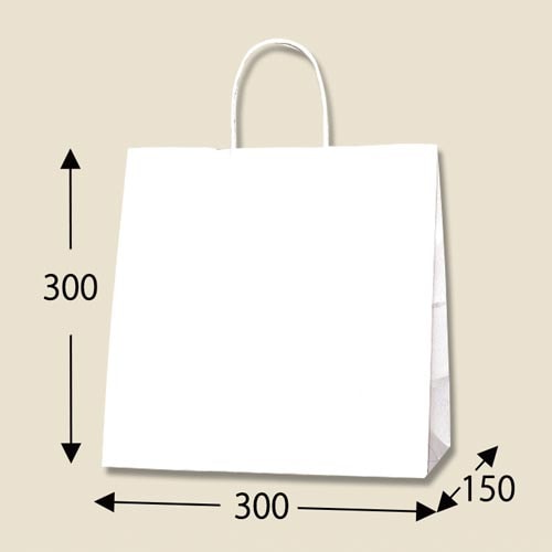 25チャームバッグ W判 晒白無地 50枚