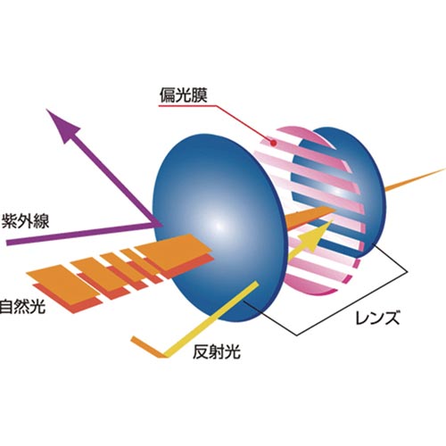 クリップ式偏光サングラスレンズ