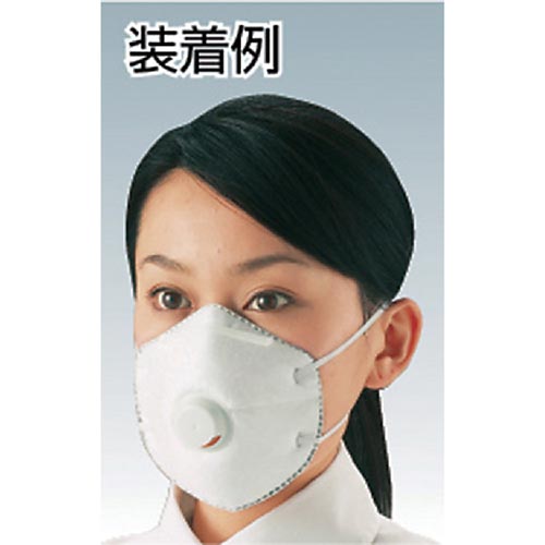一般作業用マスク活性炭入排気弁付(10枚入)