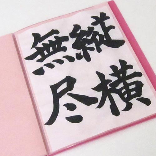 呉竹 ファイル 書道用 作品ファイル 半紙用 カウネット 呉竹 ファイル 書道用 作品ファイル 半紙用 カウネット