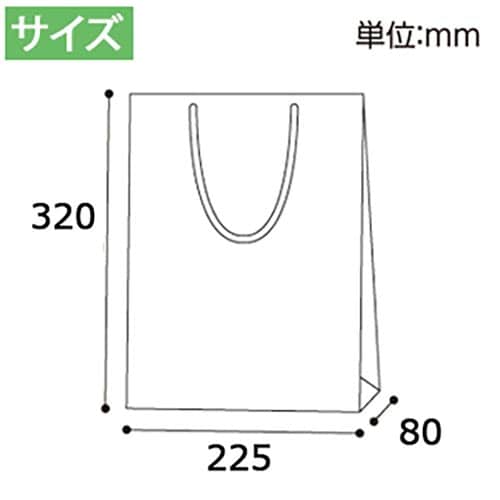 ブライトバッグ SWT 白(MT) 10枚