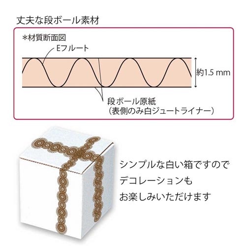 フリーBOX F−62 10枚