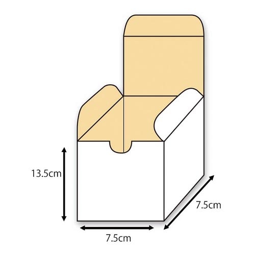 フリーBOX F−61 10枚