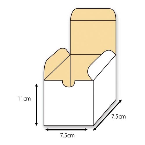 フリーBOX F−54 10枚