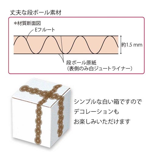 フリーBOX F−54 10枚