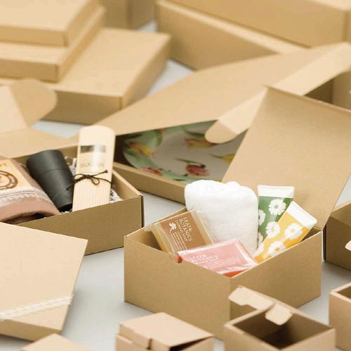 ナチュラルBOX ECO・Z−9 10枚