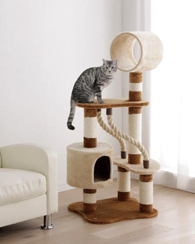 キャットランド CLF−6