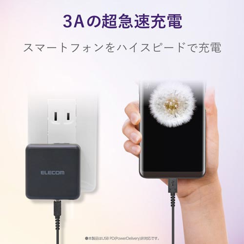 A−Cケーブル 高耐久 0.3m ブラック